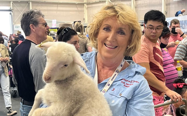 Susan-Coddington-Shedding-Sheep